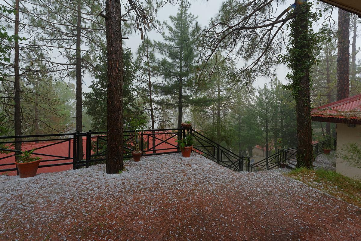 فندق Arcadian Blue Pines مورى المظهر الخارجي الصورة